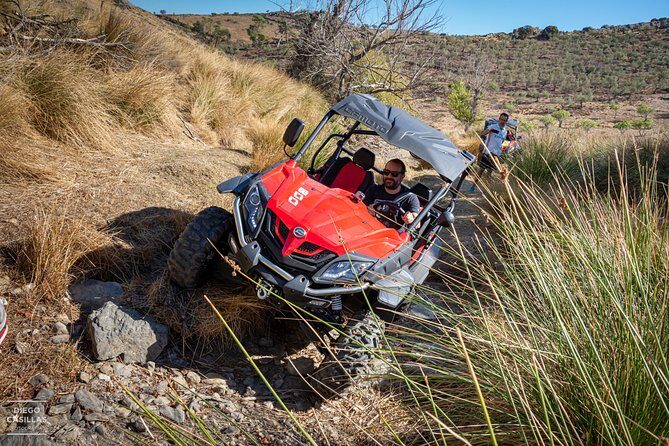 ROUTE IN BUGGY 2,00h - Who Should Consider This Tour?