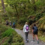 Routeburn Track Guided Hike (Full Day) - What Makes This Tour Stand Out?