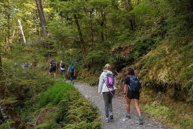 Routeburn Track Guided Hike (Full Day) - What Makes This Tour Stand Out?