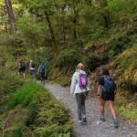 Routeburn Track Guided Walk (Half-Day) - Who Will Love This Tour?