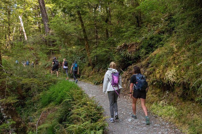 Routeburn Track Guided Walk (Half-Day) - Who Will Love This Tour?