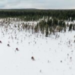 Rovaniemi: 3h Electric Snowmobile Safari at Reindeer Farm - Practical Considerations and Value