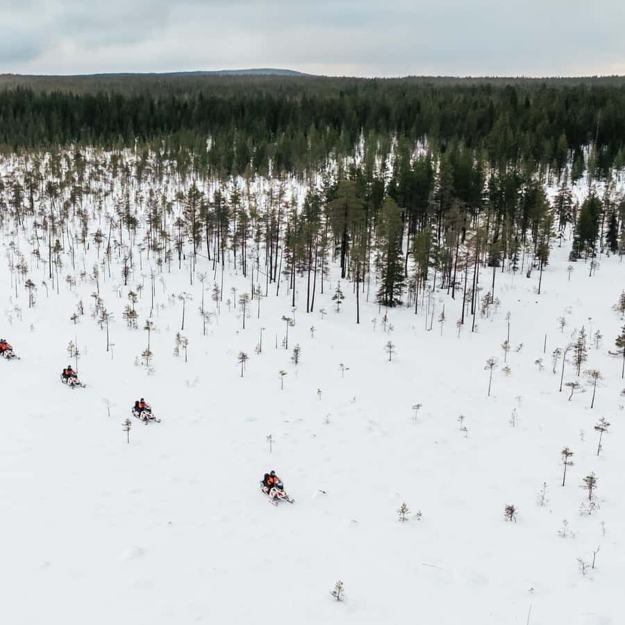Rovaniemi: 3h Electric Snowmobile Safari at Reindeer Farm - Practical Considerations and Value