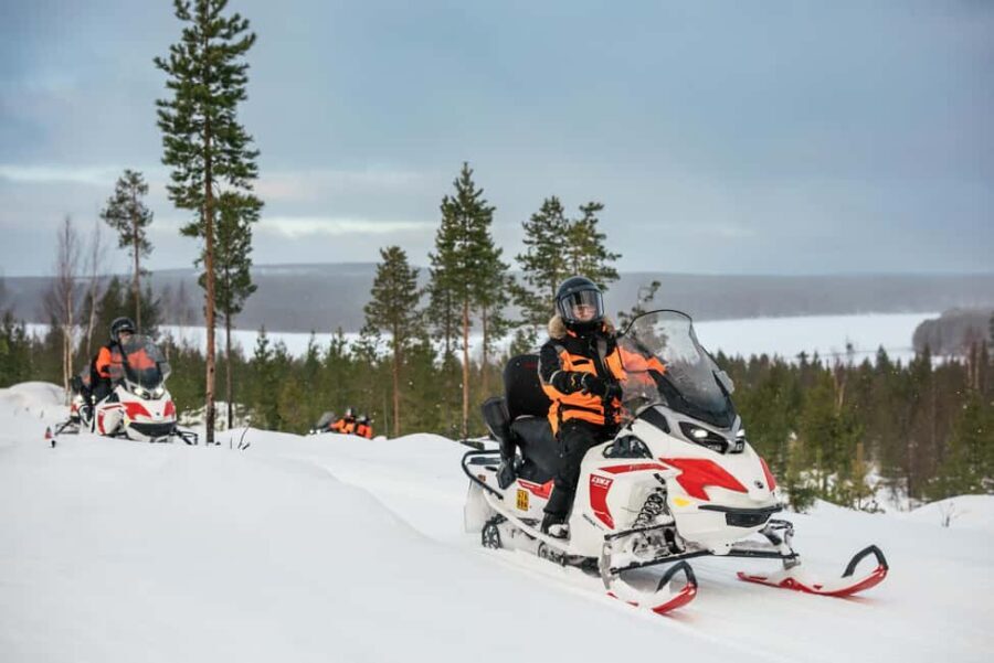 Rovaniemi: 4h Electric Snowmobile Safari at Reindeer Farm - What Makes This Tour Stand Out?