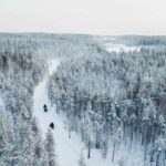 Rovaniemi: 6-Hour Snowmobile Safari in Lapland - Final Thoughts on the Rovaniemi Snowmobile Safari