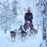 Rovaniemi: 7km Self-Drive Husky Sleigh Ride Adventure - The Itinerary in Detail