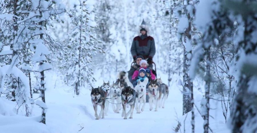 Rovaniemi: 7km Self-Drive Husky Sleigh Ride Adventure - The Itinerary in Detail