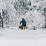 Rovaniemi: Apukka Husky Adventure 7km, self-driven - A Closer Look at the Husky Adventure