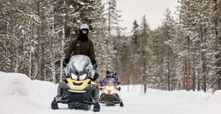 Rovaniemi: Arctic Circle Family-Friendly Snowmobile Tour - Practical Details That Matter
