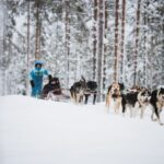 Rovaniemi: Arctic Circle Highlights by Snowmobile - Why This Tour Offers Good Value