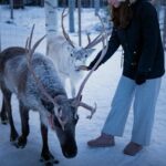 Rovaniemi: Arctic Reindeer Experience with Lunch - A Detailed Look at the Arctic Reindeer Experience