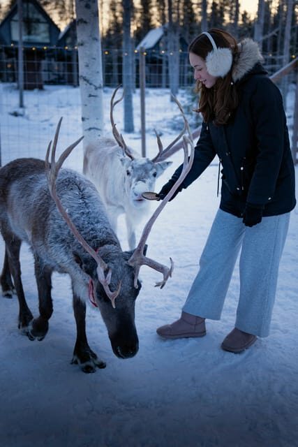 Rovaniemi: Arctic Reindeer Experience with Lunch - A Detailed Look at the Arctic Reindeer Experience