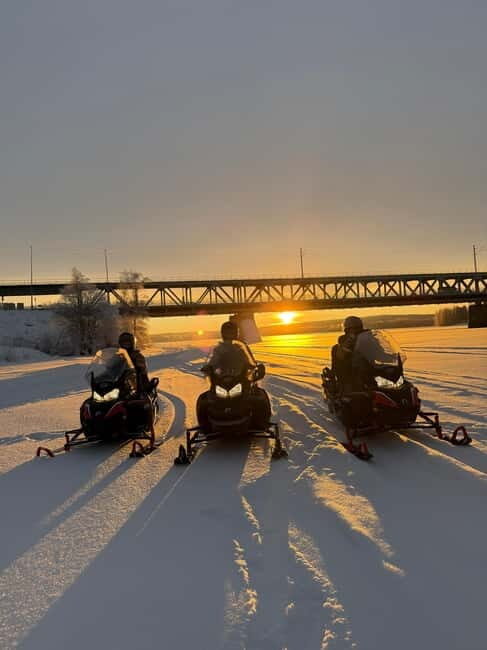 Rovaniemi: Arctic Snowmobiling Ride with Local Guide - Who Will Love This Experience?