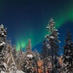 Rovaniemi: Aurora Borealis and Picnic - Who Will Love This Tour?