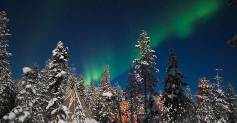 Rovaniemi: Aurora Borealis and Picnic - Who Will Love This Tour?
