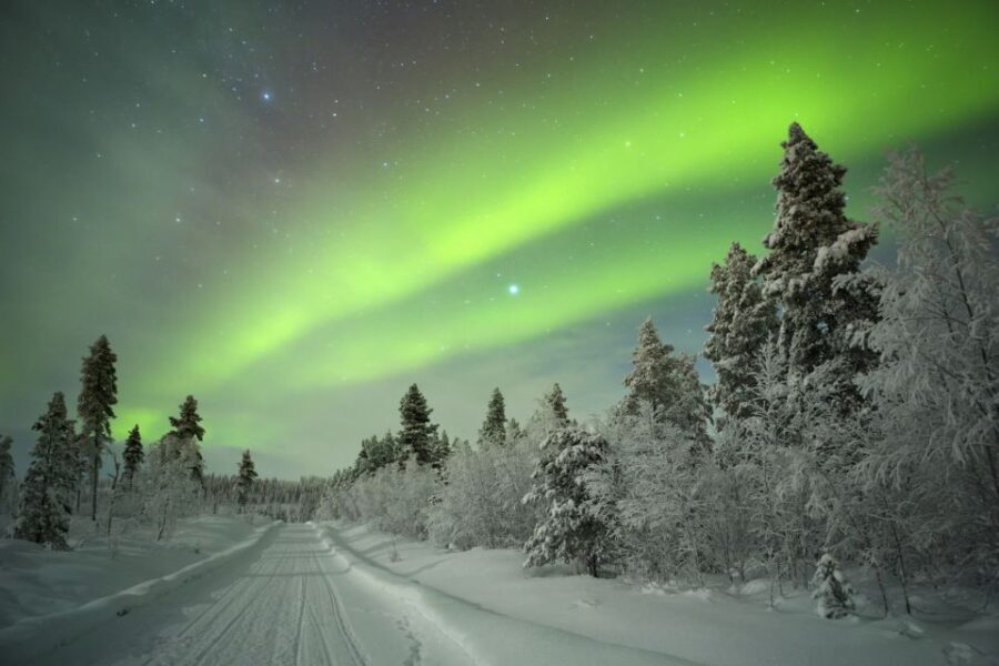 Rovaniemi: Aurora Borealis Snowmobile Safari with Campfire - Authentic Experiences Highlighted by Travelers