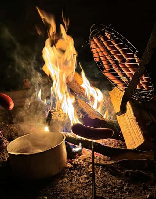 Rovaniemi: Aurora hunting and a fireside BBQ experience - Transport, Timing, and Group Size