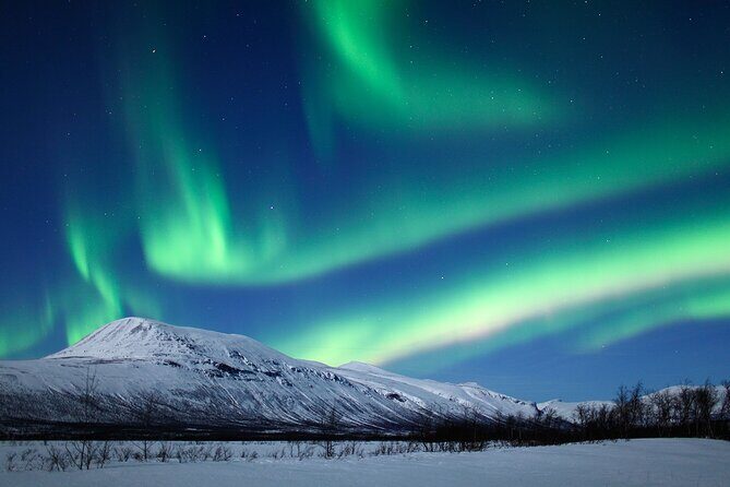 Rovaniemi Aurora Hunting Tour - Who Should Consider This Tour?