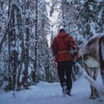 Rovaniemi: Authentic Lapland Reindeer Farm Visit & Sled Ride - Who Will Love This Tour?
