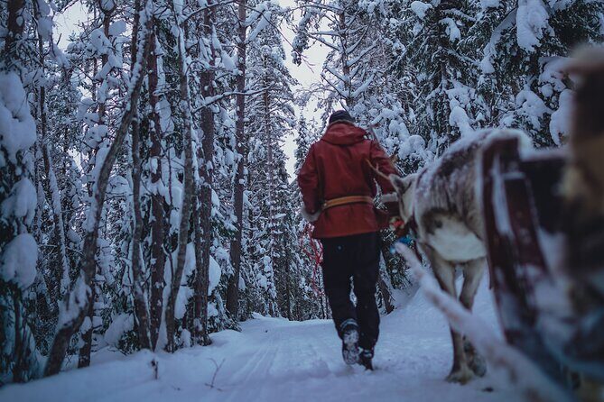 Rovaniemi: Authentic Lapland Reindeer Farm Visit & Sled Ride - Who Will Love This Tour?