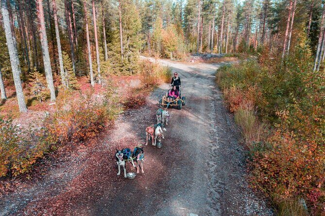 Rovaniemi Autumn Husky Safari & BBQ  610 km SelfDrive - Final Thoughts