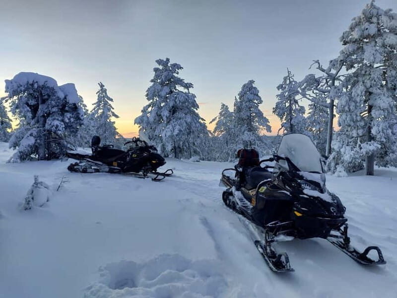 Rovaniemi: Backwoods Adventure Full Day Snowmobile Safari - Why This Tour Offers Great Value
