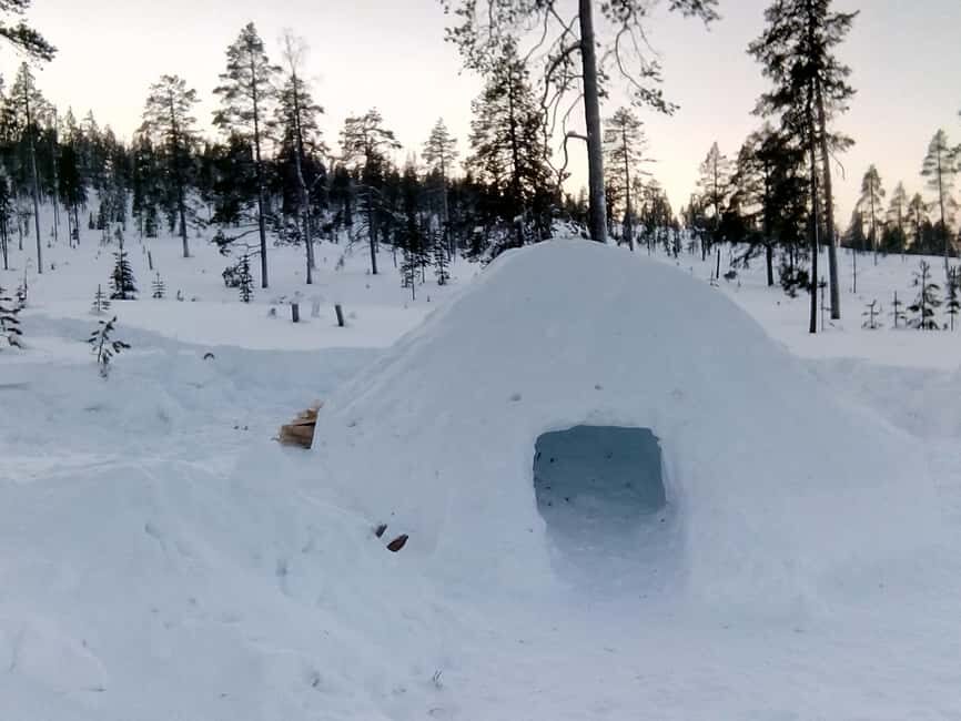 Rovaniemi: Building a Snow Igloo - Final Thoughts: Why This Tour Is Worth Considering