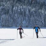 Rovaniemi: Cross Country Wilderness Ski Adventure - Who Will Love This Tour?