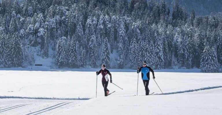 Rovaniemi: Cross Country Wilderness Ski Adventure - Who Will Love This Tour?