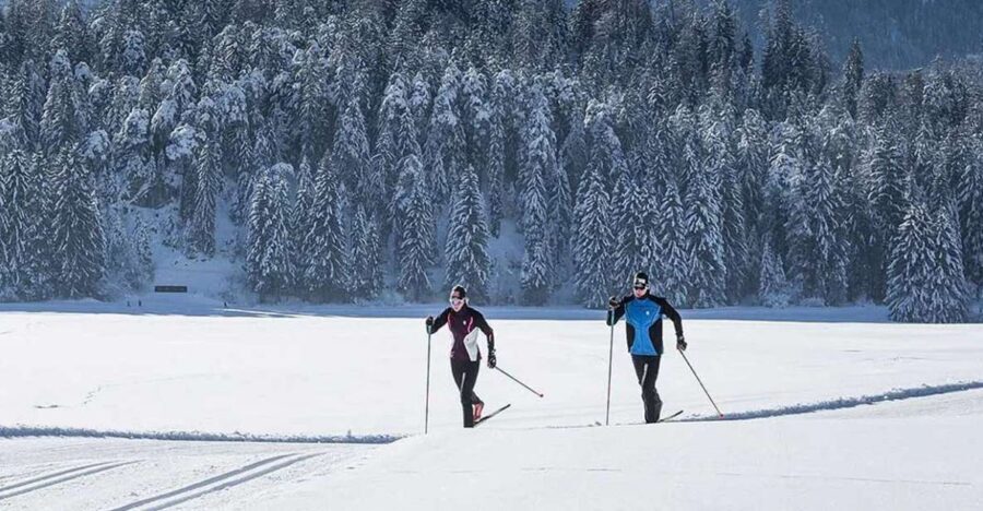 Rovaniemi: Cross Country Wilderness Ski Adventure - Who Will Love This Tour?