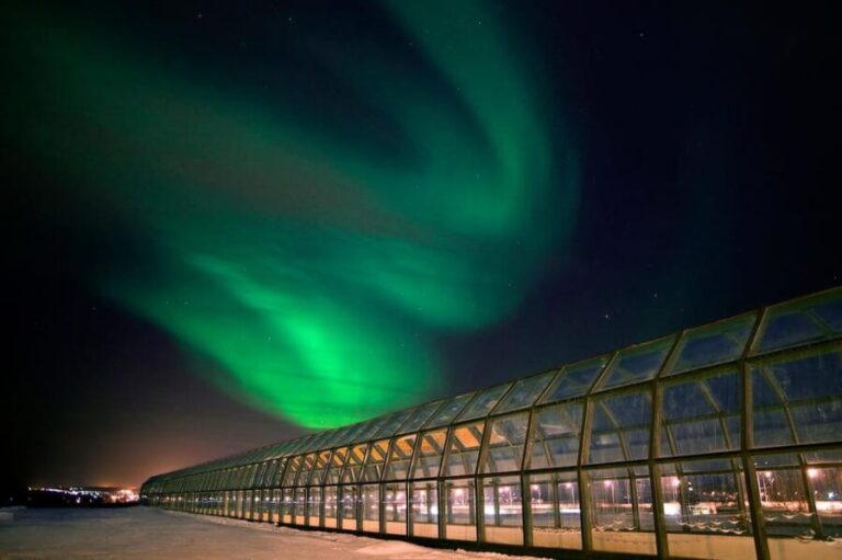 Rovaniemi: Culture Pass to Arktikum, Korundi, and Pilke - The Arktikum Science Centre: A Window into Lapland and the Arctic