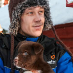 Rovaniemi: Daytime Husky Safari - What Makes This Tour Stand Out?