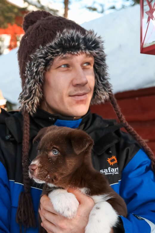 Rovaniemi: Daytime Husky Safari - What Makes This Tour Stand Out?