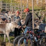 Rovaniemi: E-fatbike Trip to the Reindeer Farm - The Route and What You Can Expect