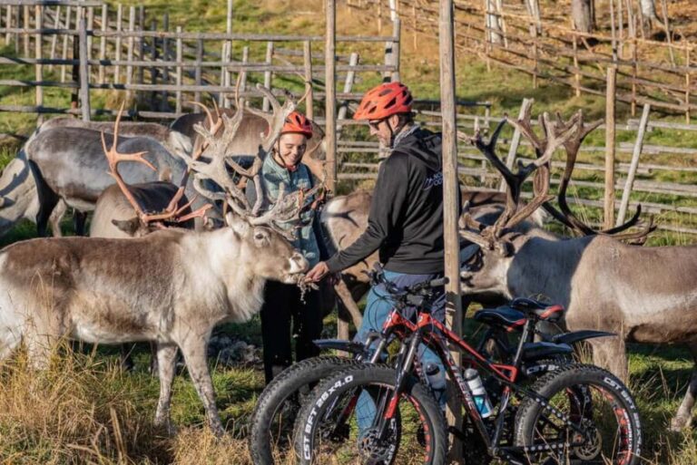 Rovaniemi: E-fatbike Trip to the Reindeer Farm - The Route and What You Can Expect