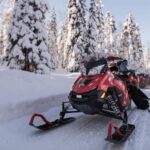 Rovaniemi: Easy Snowmobile Safari - Who Will Love This Tour?