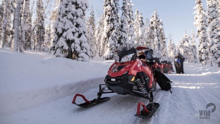 Rovaniemi: Easy Snowmobile Safari - Who Will Love This Tour?