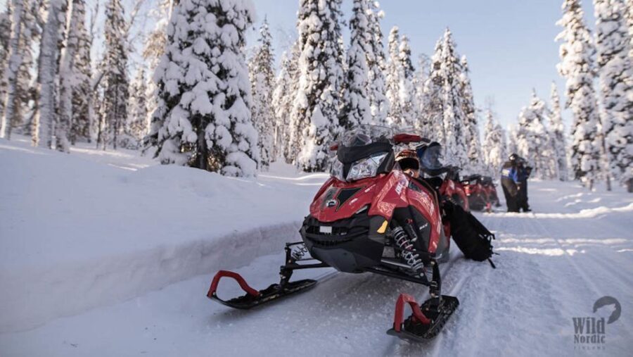 Rovaniemi: Easy Snowmobile Safari - Who Will Love This Tour?