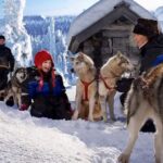 Rovaniemi: Family Friendly Husky Ride and Farm Visit - A Deep Dive into the Husky Sled Experience