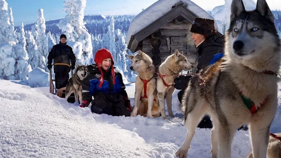 Rovaniemi: Family Friendly Husky Ride and Farm Visit - A Deep Dive into the Husky Sled Experience