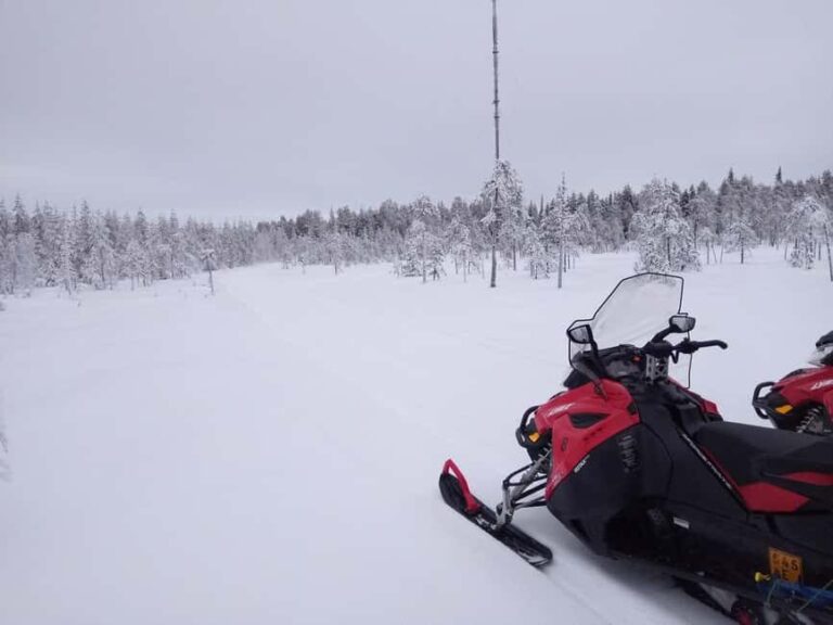 Rovaniemi: Full-Day Snowmobile Adventure - The Experience: Covering 100 km of Lapland’s Beauty
