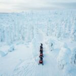 Rovaniemi: Full Day Snowmobile Safari into the Wilderness - Final Thoughts on Value and Experience