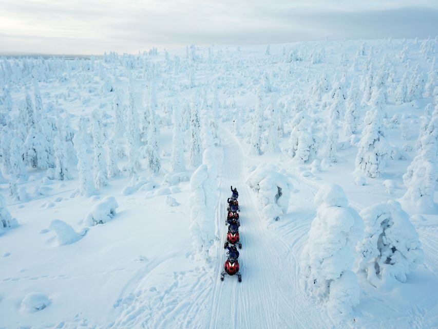 Rovaniemi: Full Day Snowmobile Safari into the Wilderness - Final Thoughts on Value and Experience