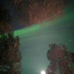 Rovaniemi: Guaranteed Northern Lights Magic Adventure - Discovering Rovaniemi and the Magic of the Northern Lights