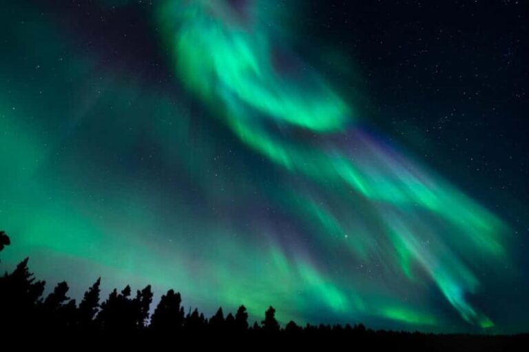 Rovaniemi: Guaranteed Northern Lights Tour With Photography - Why This Tour Stands Out