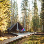 Rovaniemi: Guided tour in Arctic Circle Trekking area - A Detailed Breakdown of the Experience