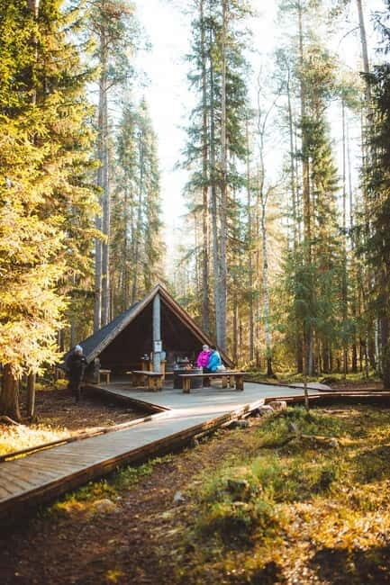 Rovaniemi: Guided tour in Arctic Circle Trekking area - A Detailed Breakdown of the Experience