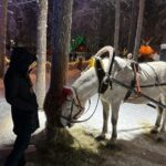 Rovaniemi: Guided Tour of Santa Claus Village - The Sum Up