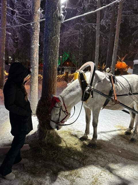 Rovaniemi: Guided Tour of Santa Claus Village - The Sum Up