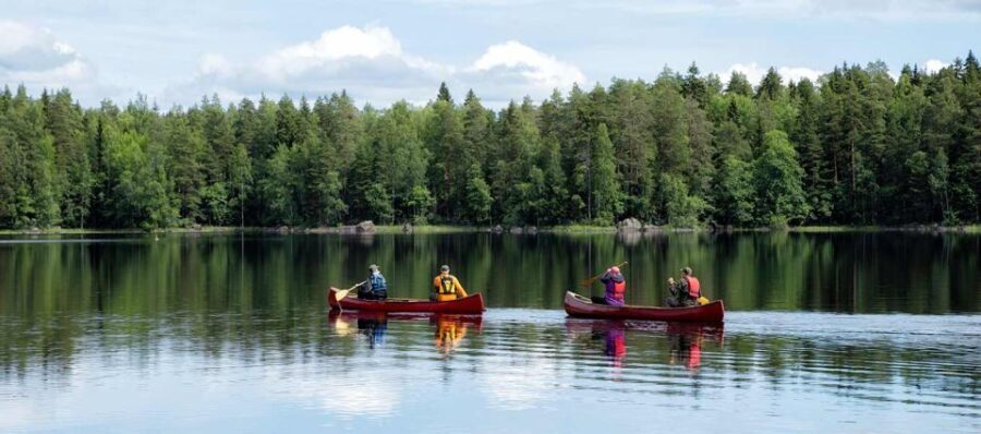 Rovaniemi: Guided Wilderness Kayaking Adventure - Why This Tour Offers Great Value